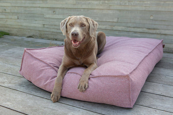 Fantail Origin Mattress Iconic Pink Dog Bed