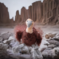 Great & Small Stay Wild Vulture Cuddle & Play Soft Dog Toy