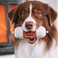Dog holding a Chub of Jr Pure Chicken Pate in its mouth with a warm background.