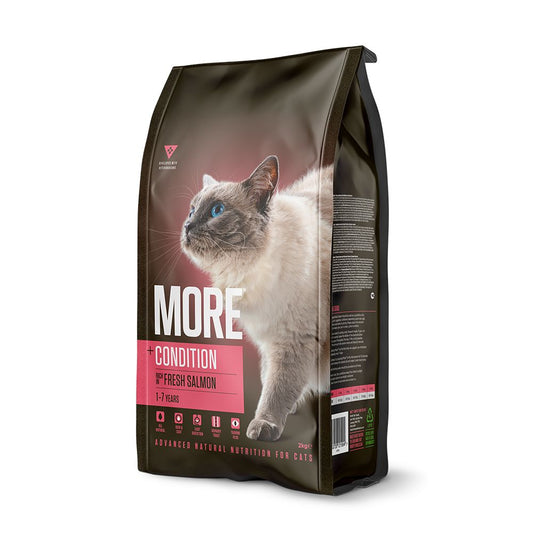 MORE Condition Salmon Dry Cat Food