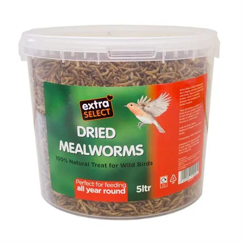 Extra Select Mealworms