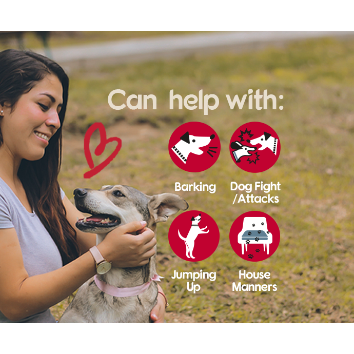 Dogs Correcting Pet Corrector – World of Pets