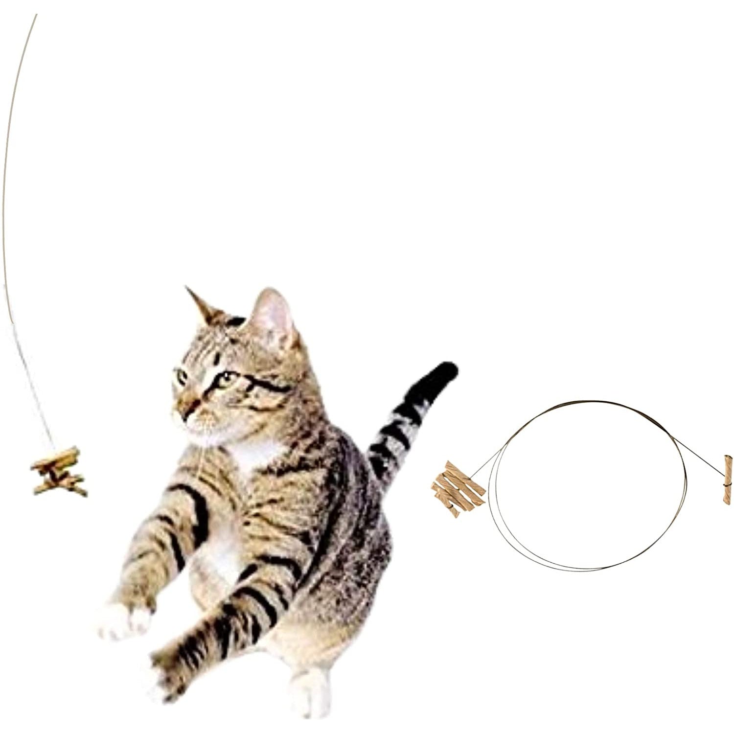 A cat playing with the cat dancer toy, front paws in the air attempting to catch the cardboard piece.